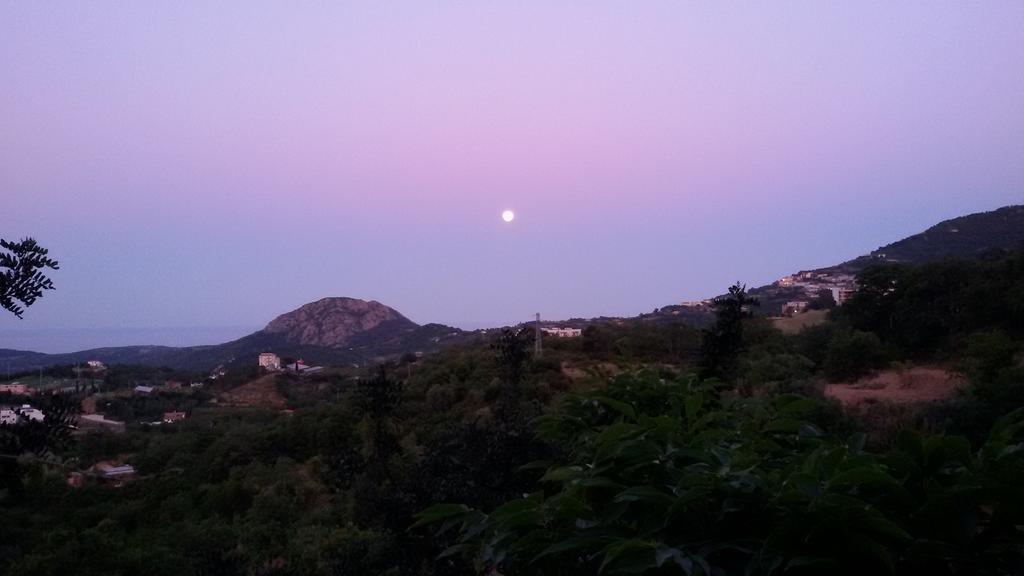 Ilbono Le Roverelle المظهر الخارجي الصورة